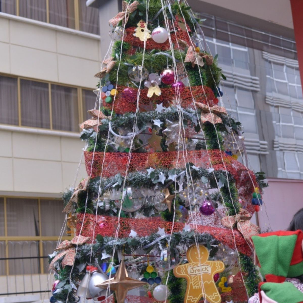 ENCENDIDO DE ÁRBOL DE NAVIDAD