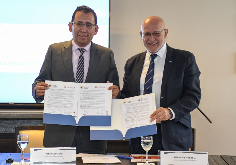 Acordamos unir fuerzas con España para robustecer la industria nacional